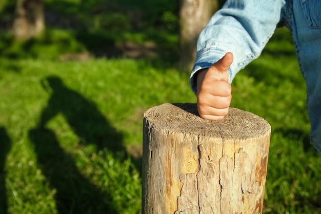 Las manos de los niños sostienen un tocón en el parque en la naturaleza.