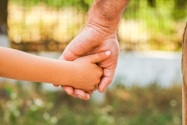 A las manos de un padre y un niño en el parque.