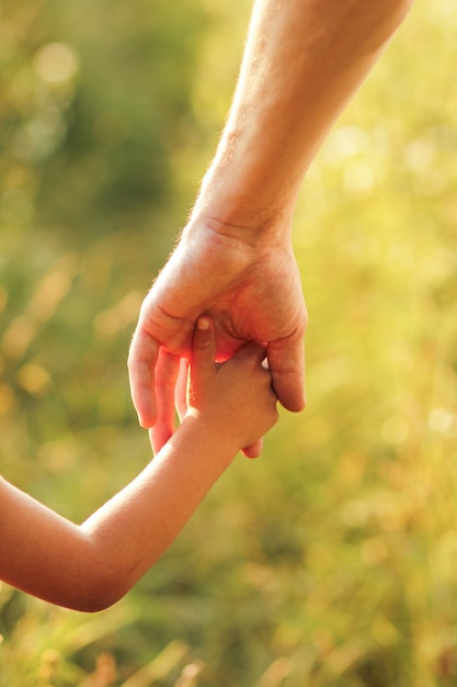 Manos de padres e hijos al aire libre en el parque