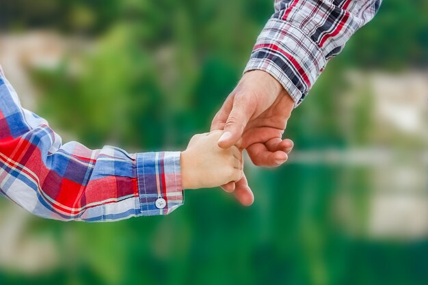 Manos de padres e hijos en la naturaleza en el viaje del parque.