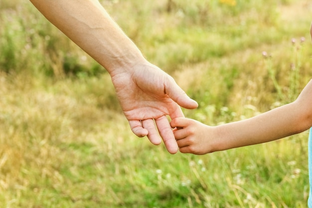 Manos de padres e hijos en la naturaleza.