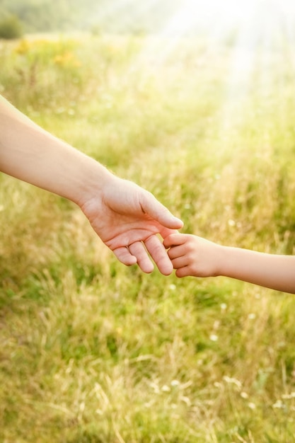 Manos de padres e hijos en la naturaleza.