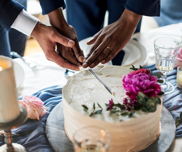 Manos de la pareja gay corte pastel de bodas