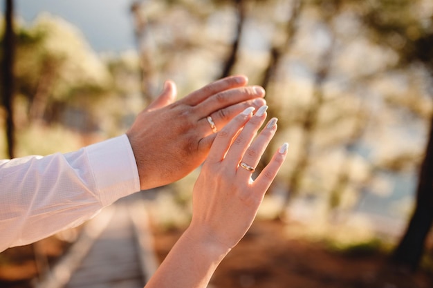 Manos de parejas recién casadas con anillos de boda