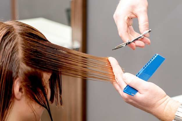 Manos de peluquero cortando el cabello de mujer.