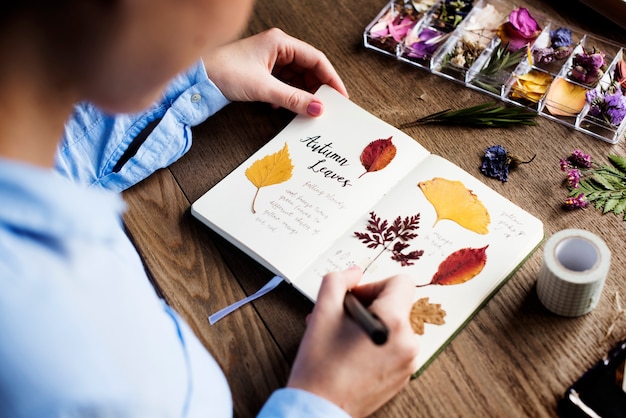 Manos que hacen adjuntar colección de flores secas en cuaderno de trabajo hecho a mano Hobby