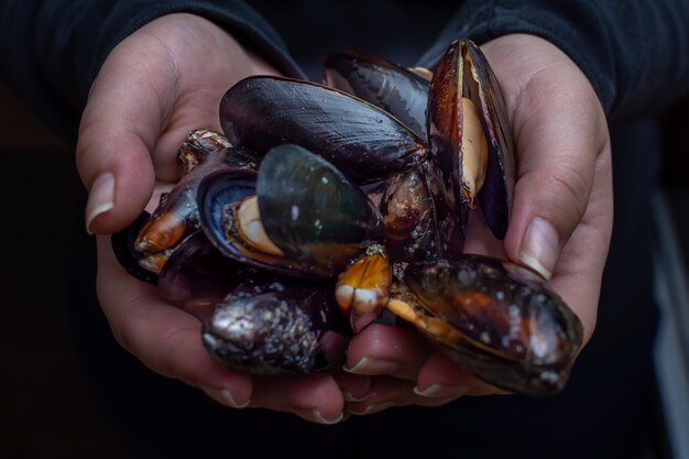 Manos que sostienen deliciosos mejillones preparados