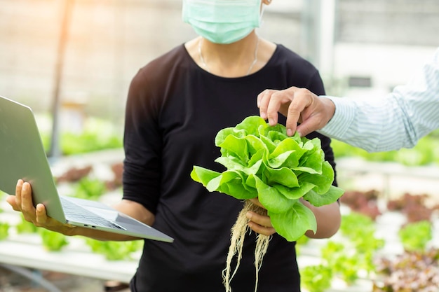 Foto manos que tocan verduras no tóxicas