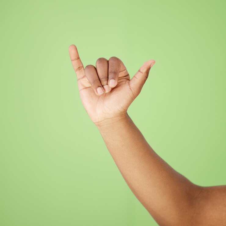 Foto manos rock and roll y persona con gesto de la mano en el estudio para la comunicación del festival signo punk y música metal cuernos del diablo emoji y mostrar rebelde para la opinión de la banda funky y fondo verde