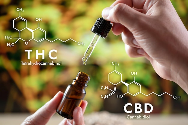 Manos sosteniendo una botella de aceite de CBD legalizado y fórmula bioquímica