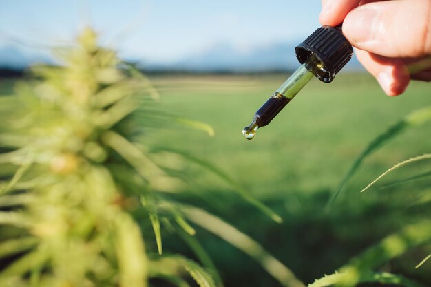 Manos sosteniendo una botella y un gotero lleno de aceite de CBD