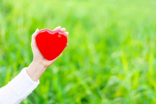 Manos sosteniendo corazón rojo. - cuidado de la salud, amor, donación de órganos, atención plena, bienestar, concepto
