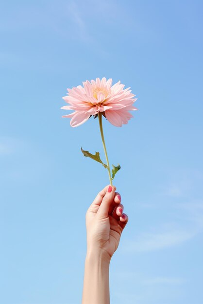 Manos sosteniendo una flor aislada en el fondo del cielo