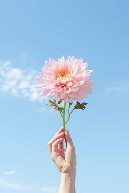 Manos sosteniendo una flor aislada en el fondo del cielo