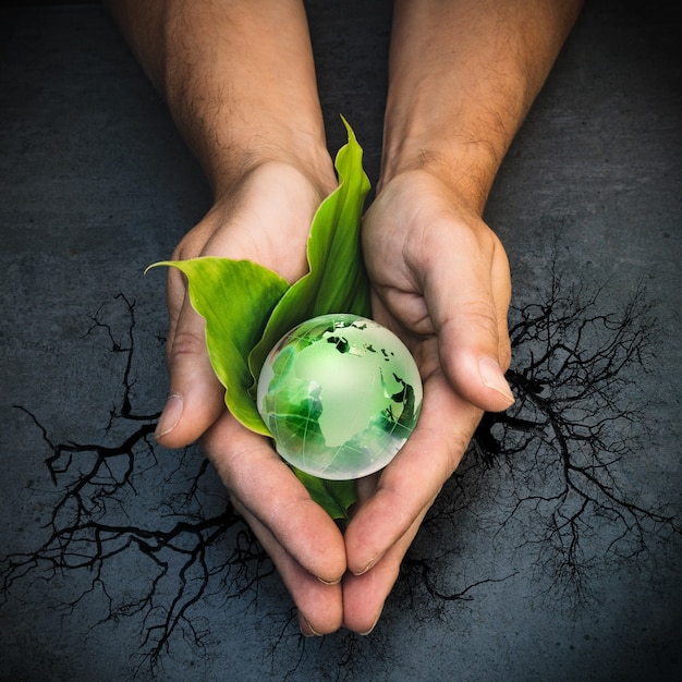 Manos sosteniendo un globo verde del planeta Tierra en hojas verdes sobre fondo gris y árbol