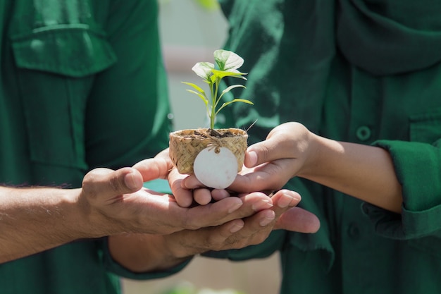 Manos sosteniendo maceta con pequeña planta