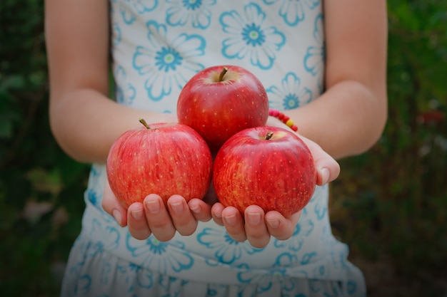 Manos sosteniendo manzanas rojas maduras