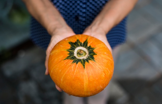 Manos sosteniendo productos orgánicos de calabaza de la granja