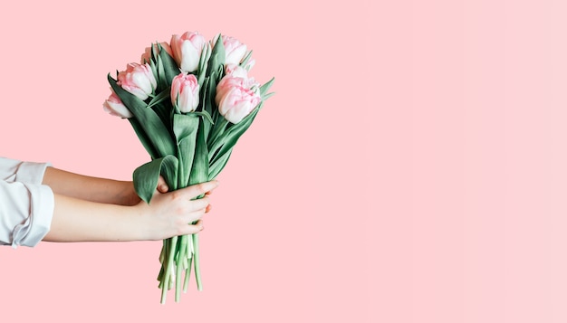 Foto manos sosteniendo ramo de tulipanes rosas sobre fondo rosa, tarjeta de felicitación del día de la mujer