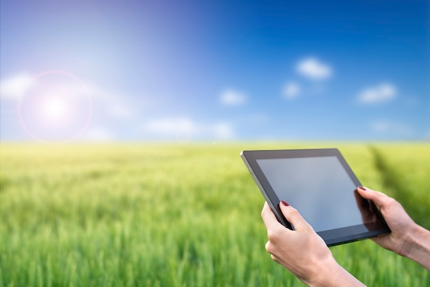 Foto manos sosteniendo la tableta en el campo de trigo. agricultura inteligente. utilización de tecnologías modernas en agricultura.