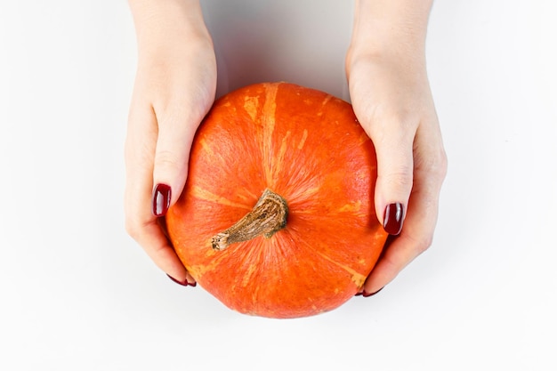 Manos sostienen calabaza madura sobre fondo blanco La mujer recoge la cosecha de otoño Símbolo de Halloween y Acción de Gracias