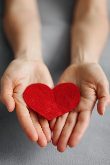 Foto las manos sostienen el corazón rojo de san valentín en el día de san valentín sobre fondo gris.