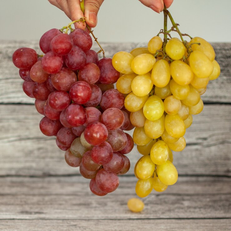 Foto las manos sostienen dos racimos de uvas de diferentes colores.