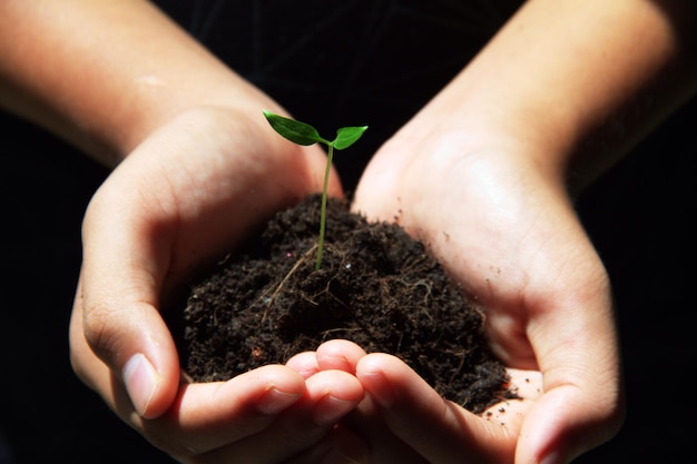 Unas manos sostienen una planta pequeña con barro