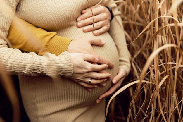 Manos en el vientre embarazado