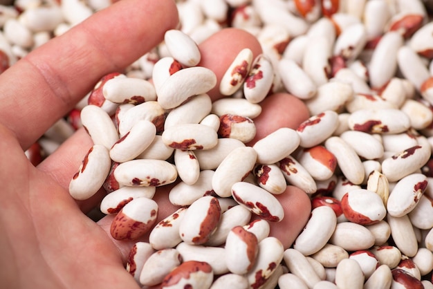 Mans Hand beim Durchsehen von Bohnen im Sack