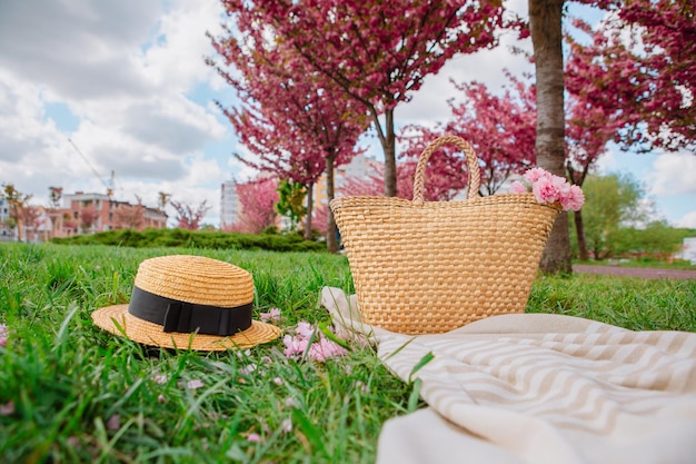 Manta de picnic con sombrero de paja y bolsa sobre hierba verde cubierta con espacio de copia de flores de sakura rosa