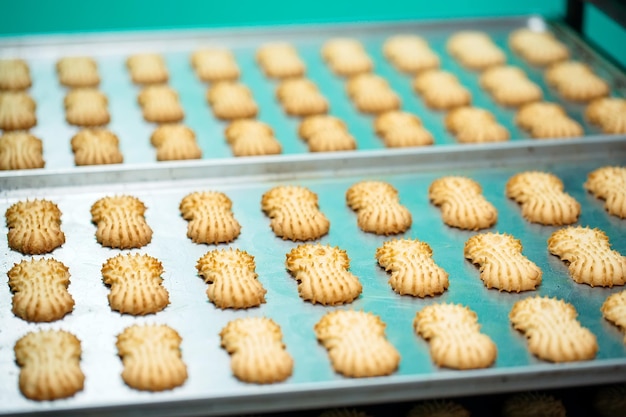 Mantecada. Producción de galletas de mantequilla en una fábrica de confitería. Galletas de mantequilla en una rejilla de metal después de hornear en el horno.