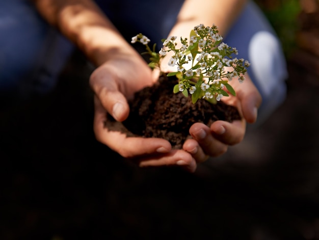 Mantendo os dedos verdes Uma jovem se preparando para plantar ervas