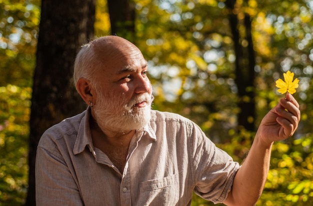 Mantener la alegría Pensionista caminando en el bosque en un día soleado de otoño Hombre feliz disfrutar de la naturaleza otoñal Viejo hombre barbudo recoger hojas Abuelo barbudo relajándose en el bosque Ver belleza en cosas simples