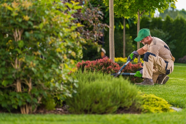 Mantenimiento de jardines estacionales en primavera