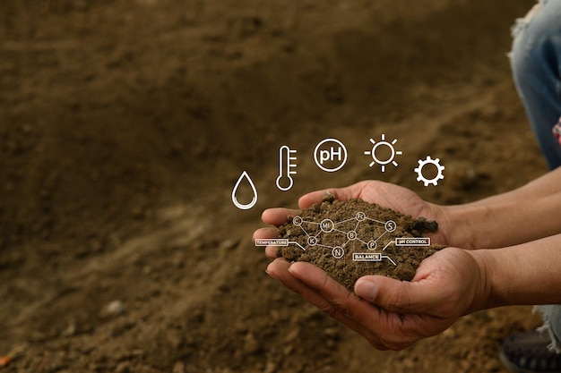 Mantenimiento manual del suelo con interfaz virtual que muestra datos cruciales sobre la temperatura de los nutrientes y el pH
