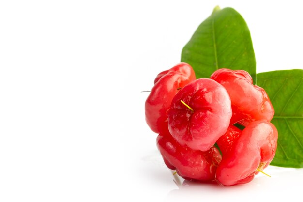 Manzana color de rosa fresca del primer con la gotita de agua y hojas en el fondo blanco.