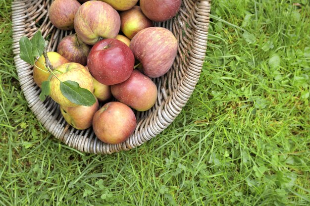 Manzana fresca en una cesta