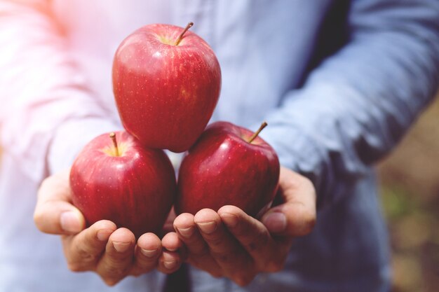 Manzana fresca de la granja.