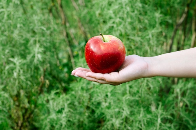 Foto manzana madura que se sostiene en la mano