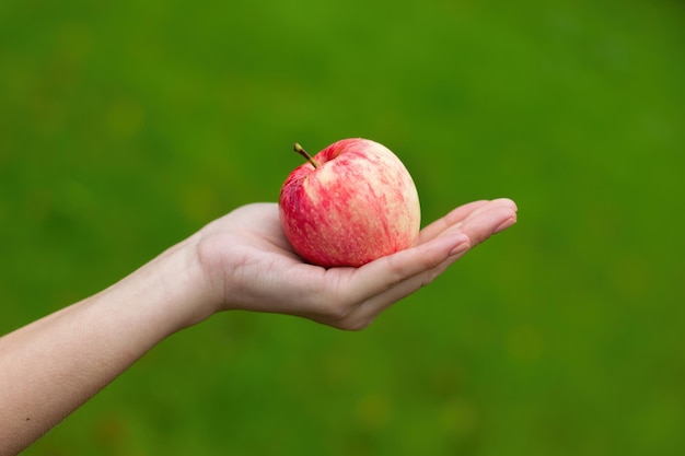 manzana en la mano