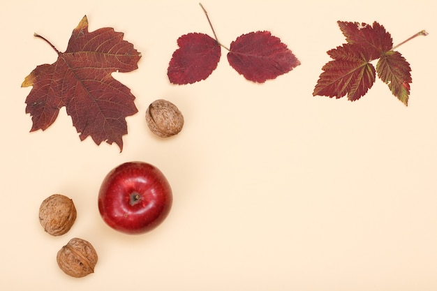 Manzana, nueces y hojas secas sobre fondo beige.