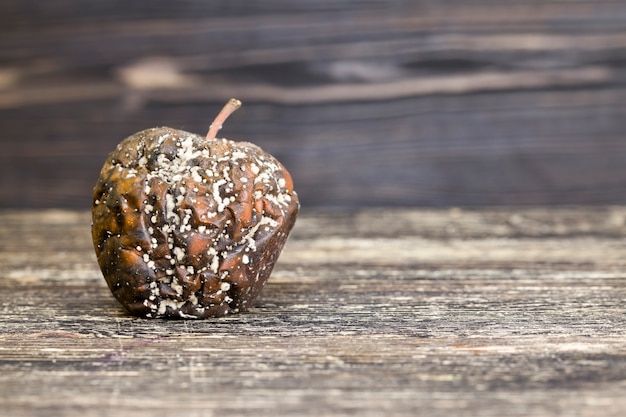 Una manzana podrida cubierta de moho y hongos, comida en mal estado, hongos y moho destruyó una manzana madura durante una violación de almacenamiento, primer plano