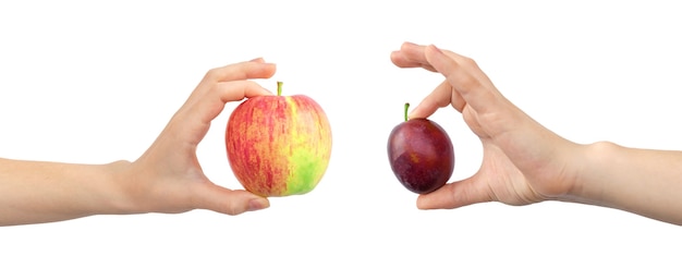 Manzana roja y ciruela en las manos, banner, concepto de frutas frescas y saludables, banner, aislado en un fondo blanco.