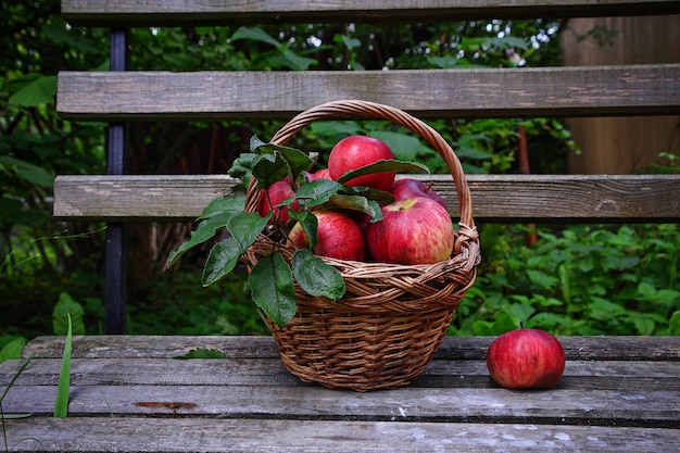 Manzana roja madura en cesta