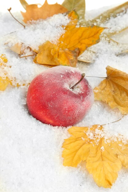 Manzana roja en la nieve de cerca