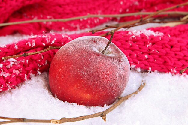 Manzana roja en la nieve de cerca