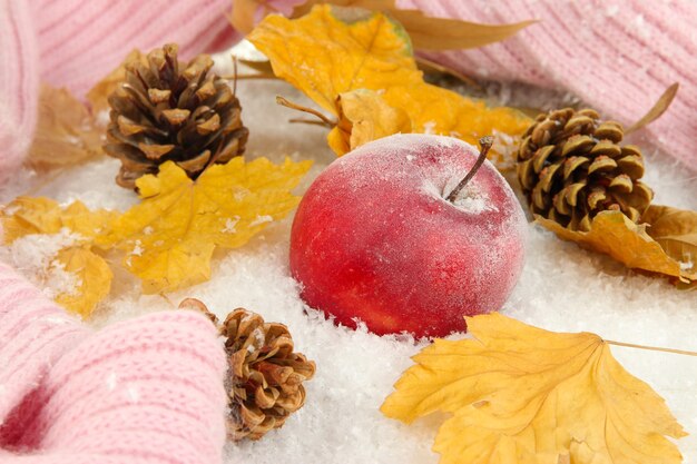 Manzana roja en la nieve de cerca