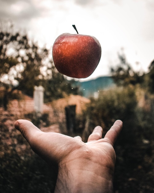 Foto manzana voladora