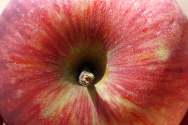 Manzana